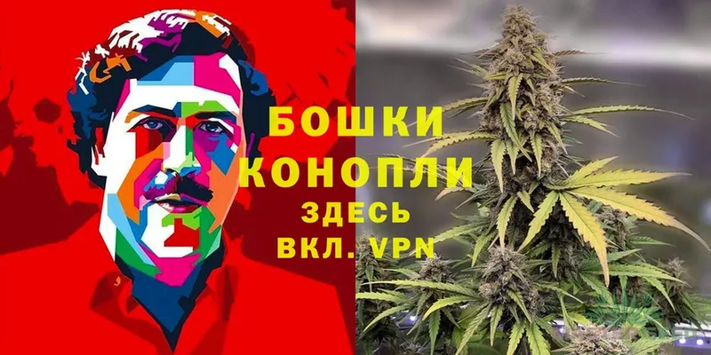 Каннабис SATIVA & INDICA  где найти   Грязовец 